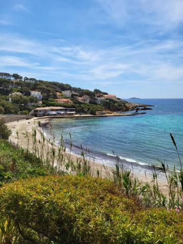 Apartamento Nice 50m With Terrace In Sanary-sur-mer