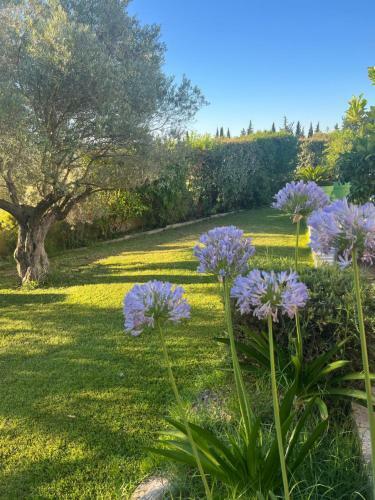 Bed & Breakfast Chambre D'h�tes La Vidourle