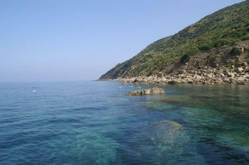 B&B Il Girasole