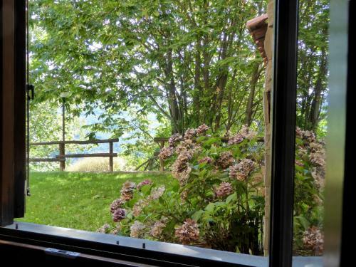 Apartment Tana Dell Istrice Cutigliano I