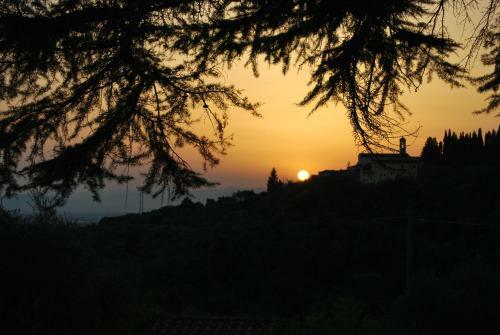 Bed & Breakfast Ulivi Di Castello