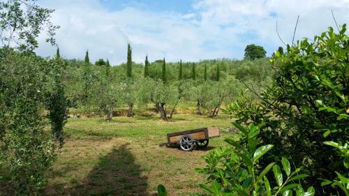 Bed & Breakfast Ulivi Di Castello
