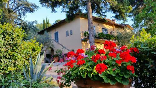 Bed & Breakfast Ulivi Di Castello