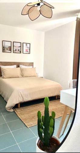 Apartamento Le Compans - Au C?ur De Toulouse - Entr�e Autonome