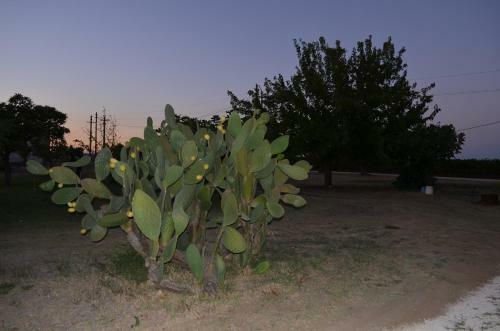 Agroturismo Masseria Montedoro