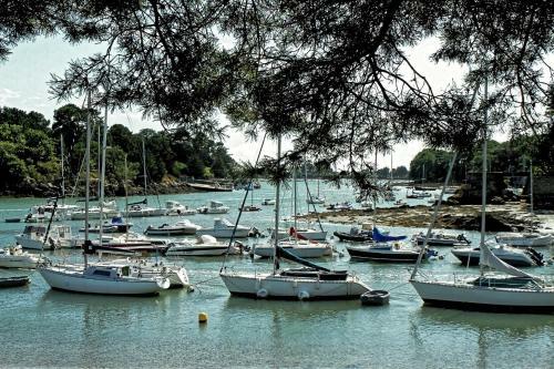 Apartamento Le Roosevelt - Proche Centre - Parking Priv�