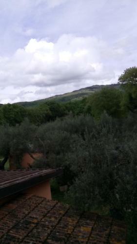 Agroturismo Al Casolare