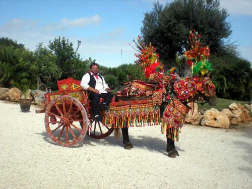 Agroturismo Agriturismo Il Ranch