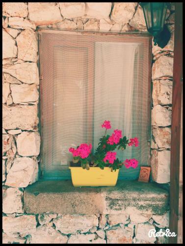 Agroturismo Agriturismo Il Ranch