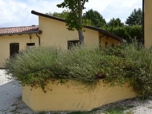 Agroturismo Agriturismo La Selva