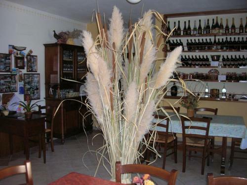 Agroturismo Agriturismo La Selva