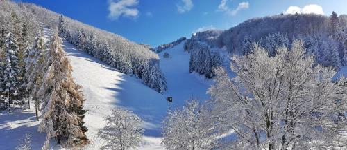 Sport & Family Hotel Bucaneve