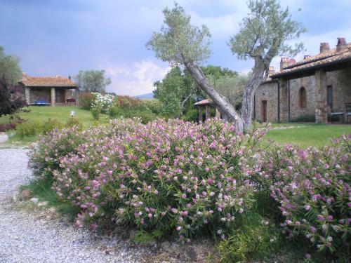 Agroturismo Il Convento Di Monte Pozzali