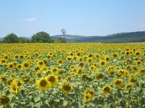 Agroturismo Il Convento Di Monte Pozzali
