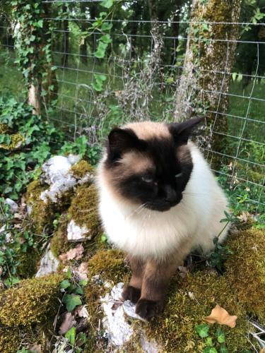 Bed & Breakfast Mas D?aubrac