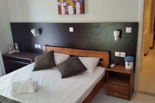 Hotel Nefeli Studios Nydri Main Road
