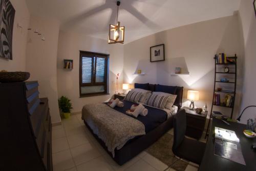 Luxury Apartment