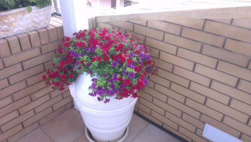 Apartamento Casa Del Sole