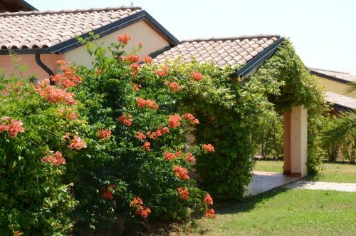 Aparthotel Le Corti Di Montepitti