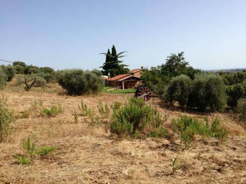 Agroturismo Agriturismo San Mauro