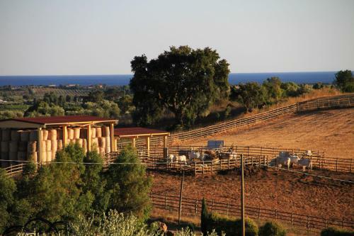 Agroturismo Agriturismo San Mauro