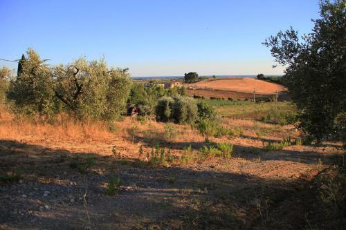 Agroturismo Agriturismo San Mauro