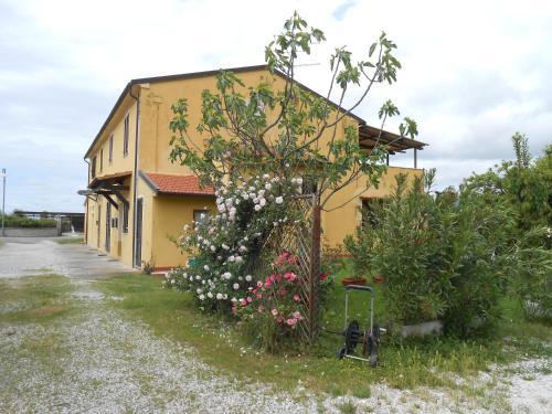 B&B Casale Le Rose