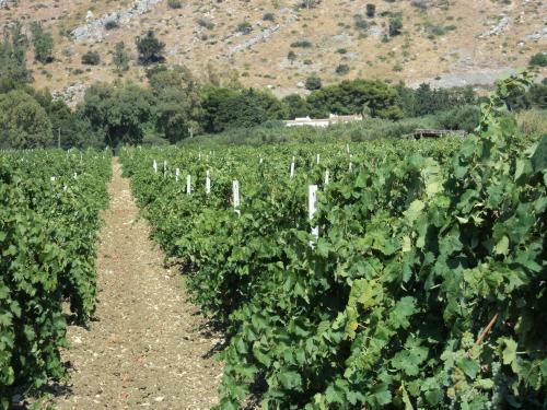 Agroturismo Turismo Rurale Baglio Fastuchera