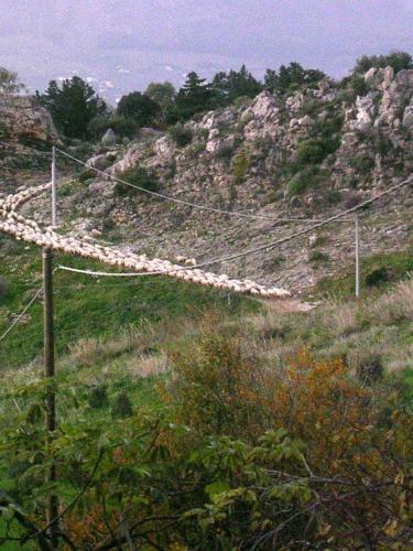 Agroturismo Turismo Rurale Baglio Fastuchera