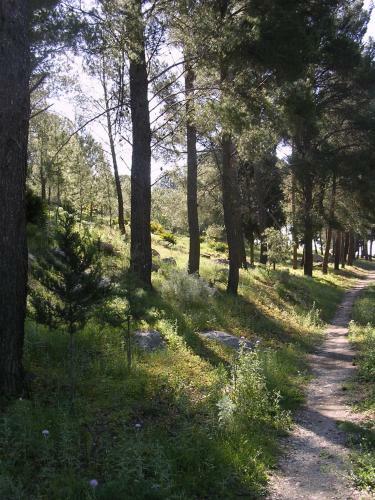 Agroturismo Turismo Rurale Baglio Fastuchera