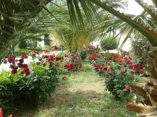 Villa Elisa B&B