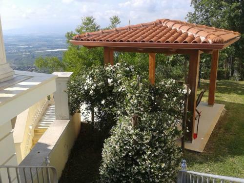 Villa Elisa B&B