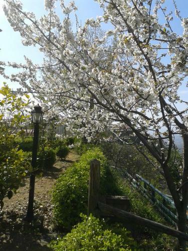 Villa Elisa B&B