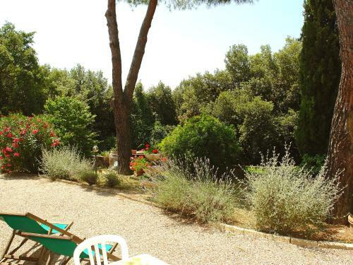 Apartamento I Ceneruzzi