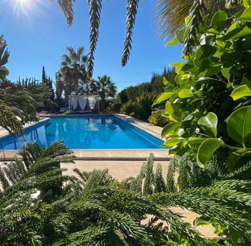 Villa Vacaciones La Marina Costa Blanca