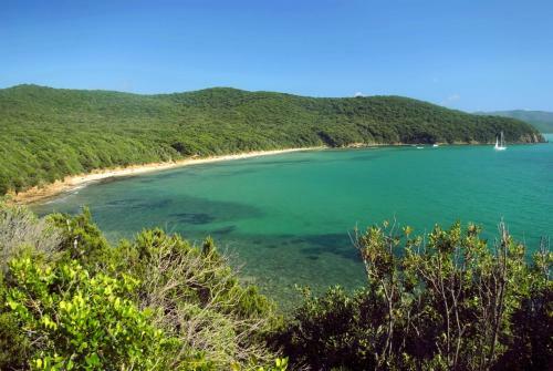 Apartamento Appartamento Con Vista A Venturina