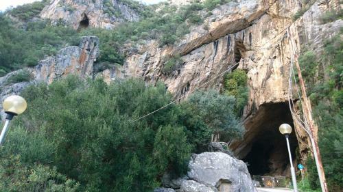 Essential Domus