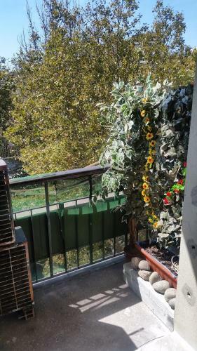 Hotel Albergo Massena
