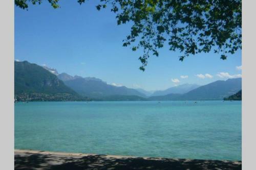 Apartamento Studio Meubl� Id�alement Situ�