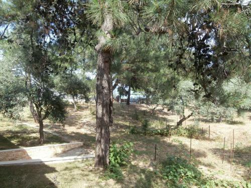 Apartamento Villa Barouti