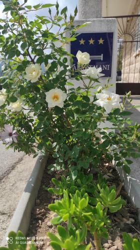 Apartmani Andric