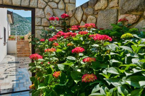 Apartamento Gromila 2