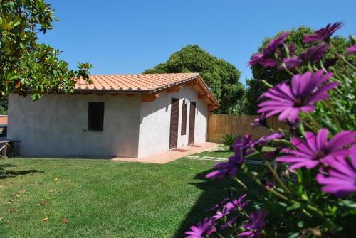 Agroturismo Agriturismo La Valle Di Ceri