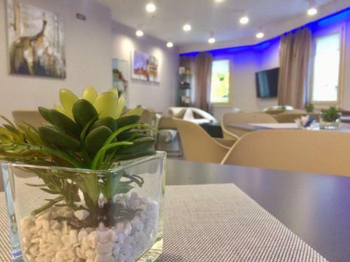 Hotel Le Camp Resort & Spa