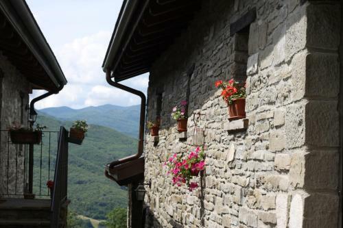 Agroturismo Agriturismo Le Querciole
