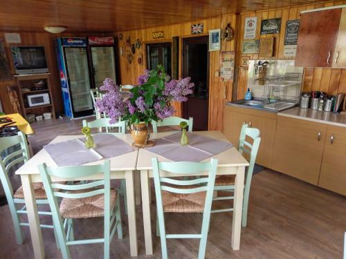 Hostal Pensiunea Gabriela