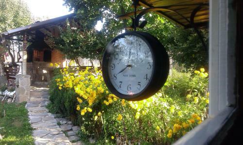 Hostal Pensiunea Gabriela