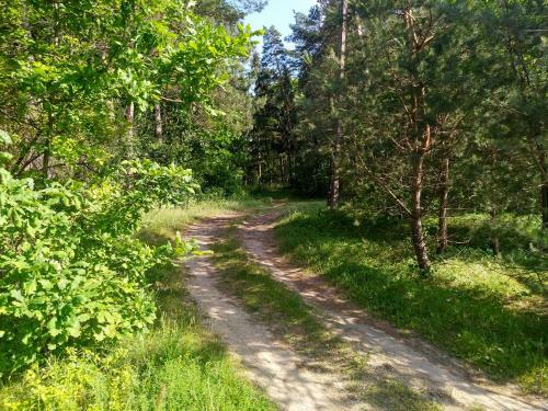 Lodge Domki Letniskowe Szczycionek