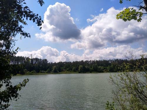 Lodge Domki Letniskowe Szczycionek