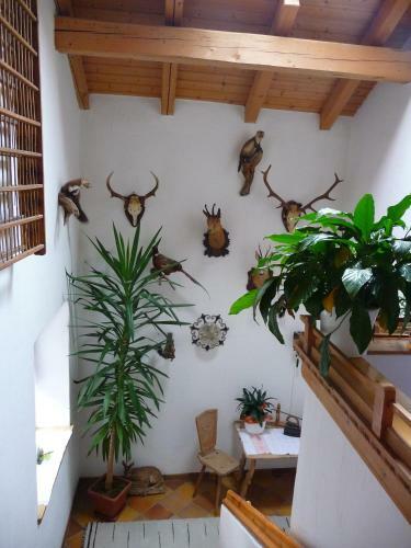 Hotel Gasthof Gemse